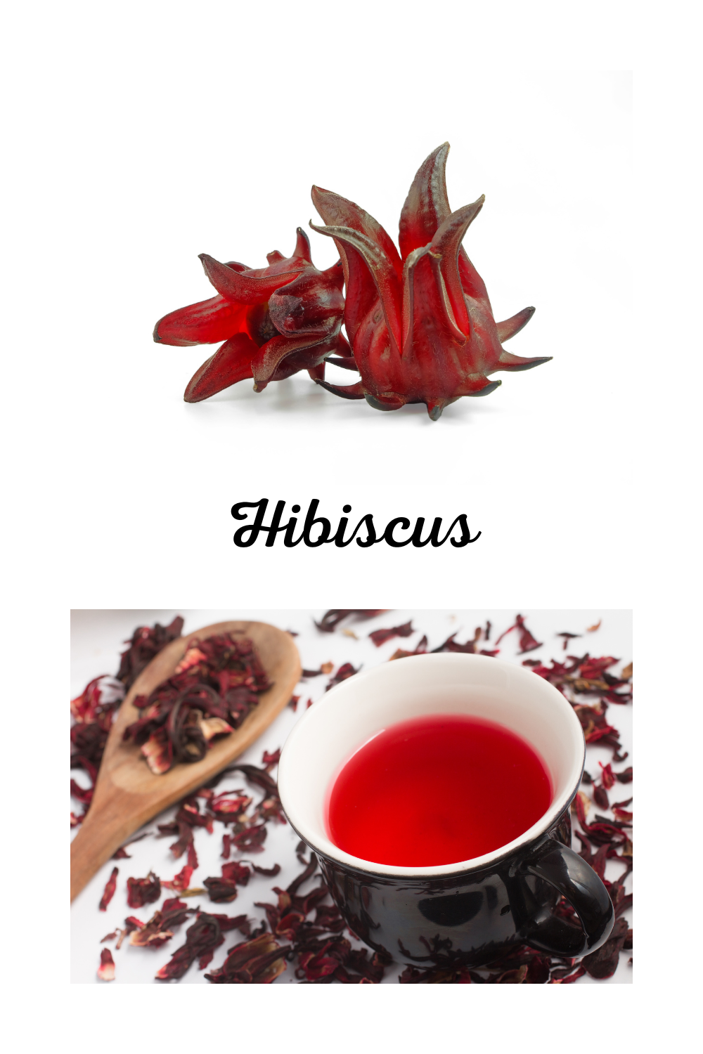 Hibiscus