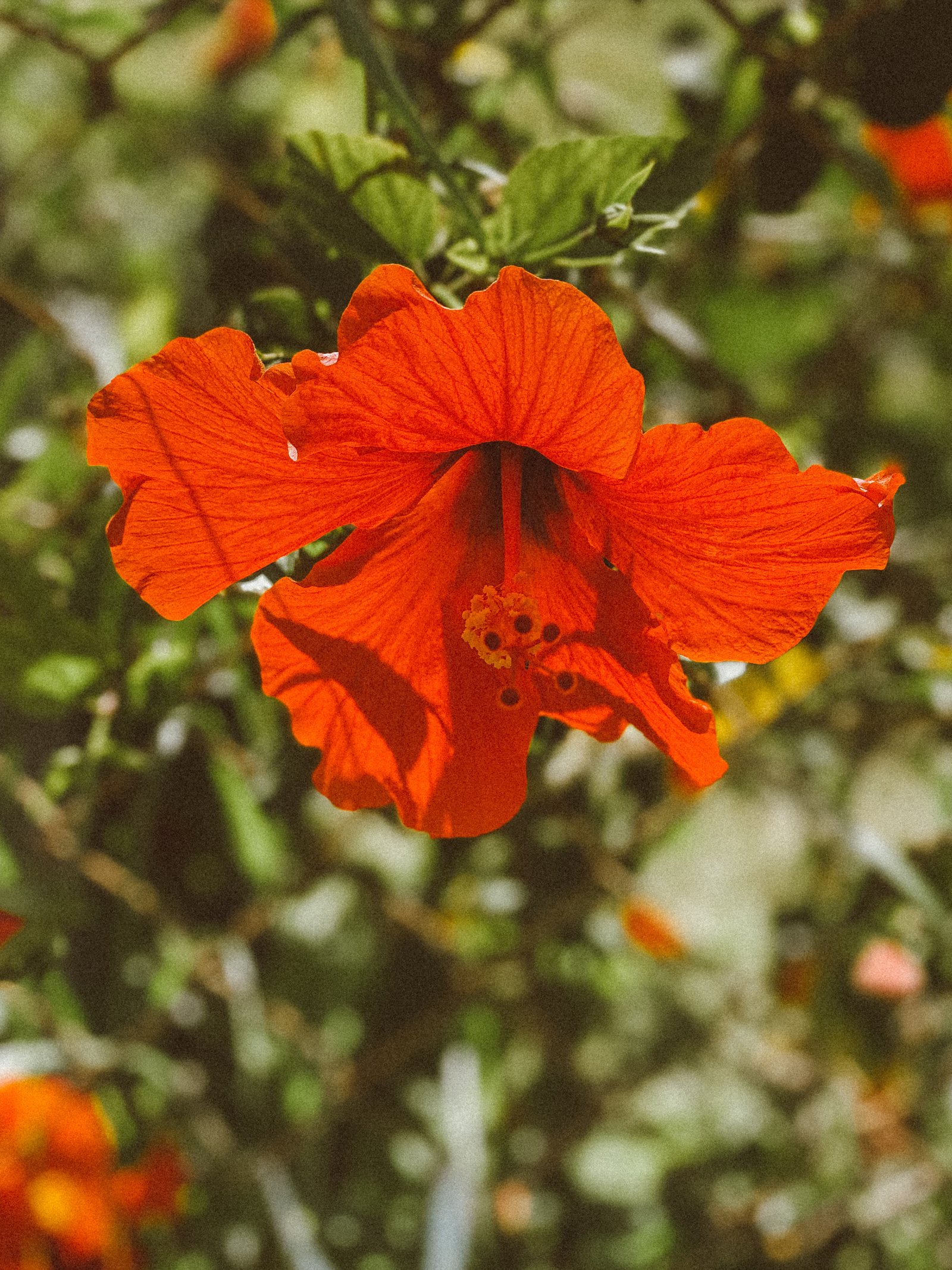 pexels-jess-loiterton-4327702