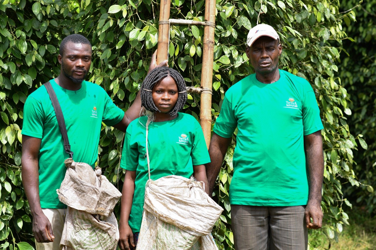 jeunes terres seveurs